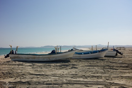 Am Strand auf Masirah 30-11-2014 No 3.jpg