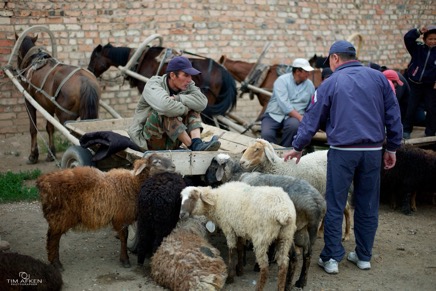 Der Viehmarkt von Kyzyl-Suu im Süden des Issyk Kul 10-06-12 No 7.jpg