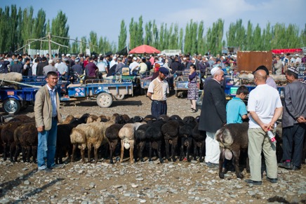 China_Kashgar-Animal-Market372016.jpg