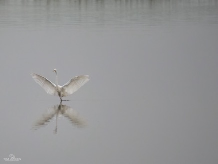 Wildlife-88.jpg