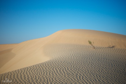 Gelb-Orange Wüste des Empty Quarter 22-11-2014 No 4.jpg