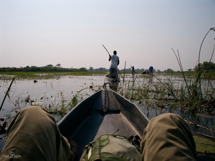 Im Okawango Delta Sep 2011 No 13.jpg