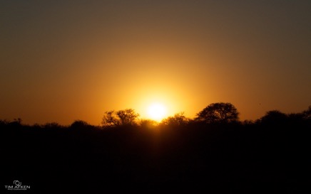 Kruger Nationalpark Sep 2011 No 143.jpg