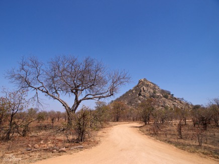 Kruger Nationalpark Sep 2011 No 210.jpg