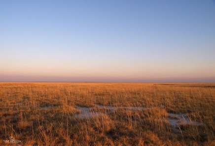 Makgadikgadi Salt Pans 05-09-11 No 5.jpg