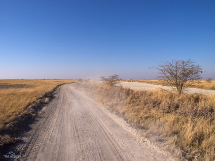Makgadikgadi Salt Pans 05-09-11 No 34.jpg
