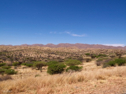 Unterwegs in der Kalahari Sep 2011 No 21.jpg