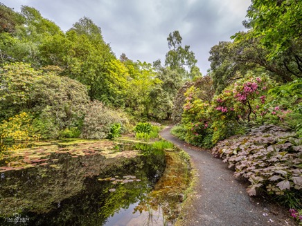 Schottland-Pano-9.jpg