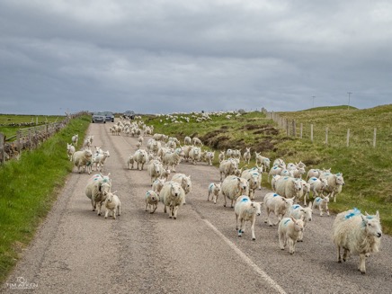 Schottland-28.jpg