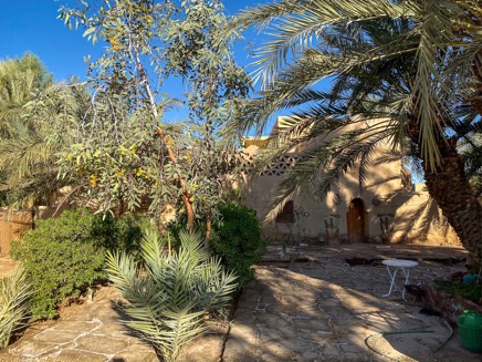 Essouira_028_13-11-2019.jpg