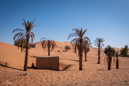 Merzouga_nach_Zagora_006_04-11-2019.jpg