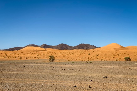 Merzouga_nach_Zagora_028_04-11-2019.jpg