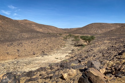 Zagora_011_01-11-2019.jpg