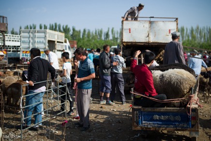 China_Kashgar-Animal-Market182016.jpg