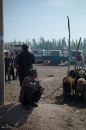 China_Kashgar-Animal-Market352016.jpg